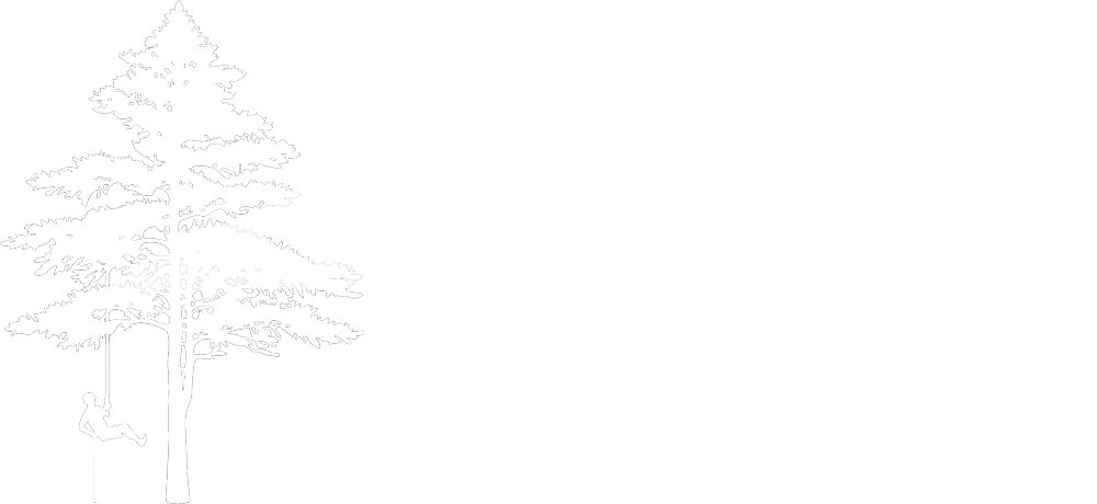 Logo Zimmerei Bernhard Hauswirth